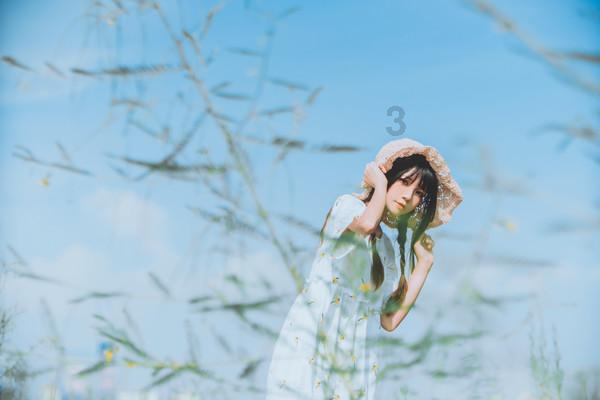 小猫钓鱼游戏龙王版有船